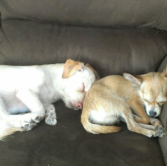 Meet your Posher, Pam - Picture 6 of 8